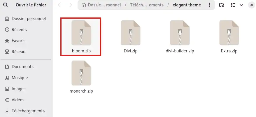 Comment installer le plugin WordPress Bloom ?