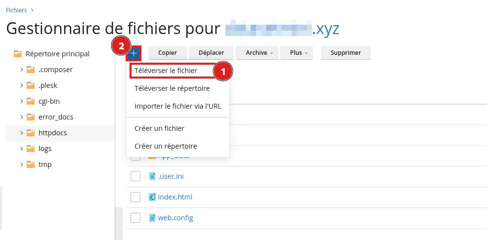 Forcer la redirection HTTPS avec le fichier web.config sur Plesk