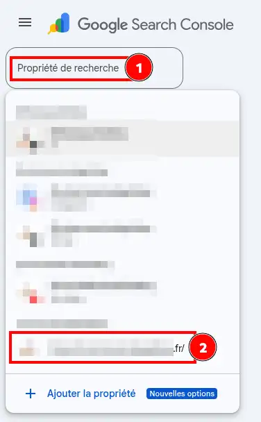 Pourquoi Google consid&egrave;re mon site comme trompeur ?