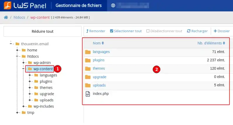 Comment utiliser le gestionnaire de fichiers du LWS Panel ?