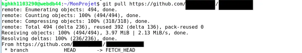 Comment utiliser GIT avec le terminal SSH sur mon hébergement mutualisé LWS ?