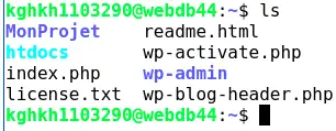 Comment utiliser GIT avec le terminal SSH sur mon hébergement mutualisé LWS ?