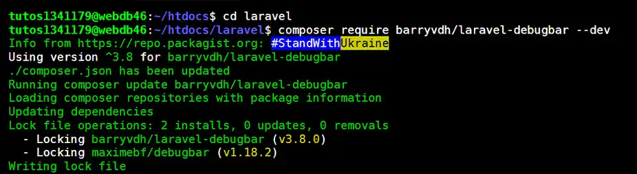 Installer Laravel sur un hébergement mutualisé LWS en quelques étapes simples