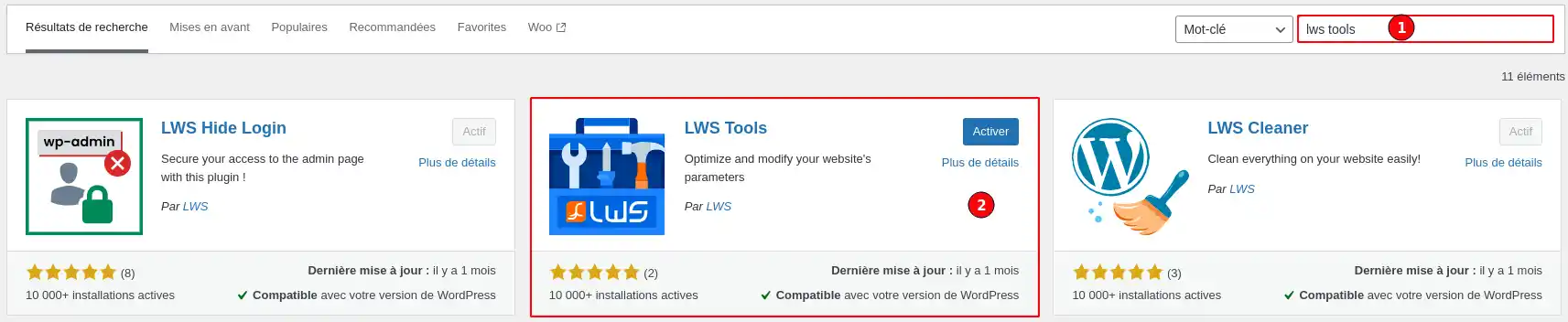 Wie kann man die Verwaltung von WordPress mit LWS tools vereinfachen?