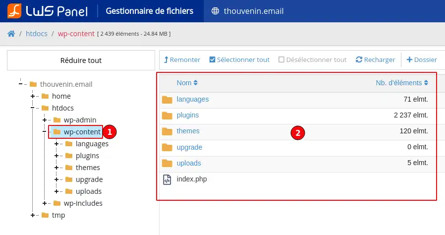 Comment naviguer dans le Gestionnaire de Fichiers du LWS Panel ?