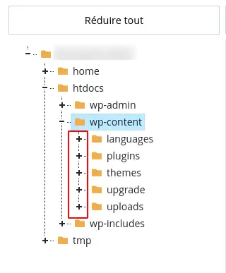 Come si naviga nel File Manager del pannello LWS?