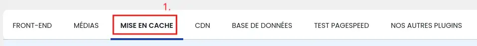 Como posso pré-carregar ficheiros CSS no meu sítio WordPress?