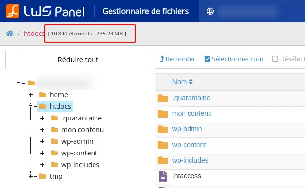 Visualizzare il numero e la dimensione dei file o delle cartelle su un account di hosting.