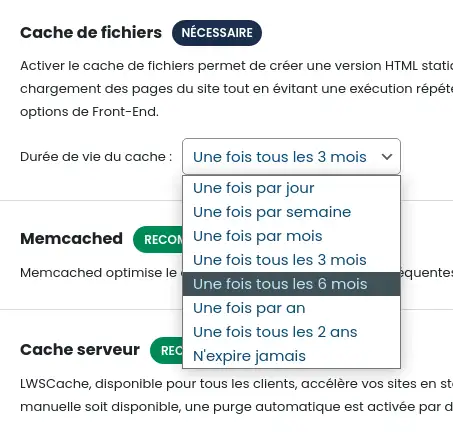 Utiliza la caché de archivos para potenciar tu sitio WordPress