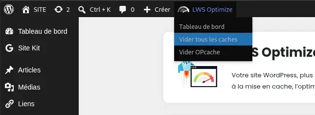 Utiliser le cache de fichiers pour booster votre WordPress avec LWS Optimize