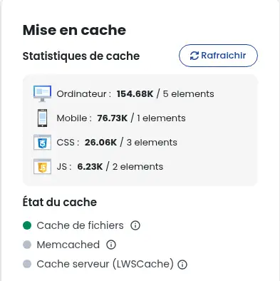 Utiliza la caché de archivos para potenciar tu WordPress con LWS Optimize
