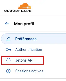 Activer l’intégration Cloudflare sur WordPress avec LWS Optimize