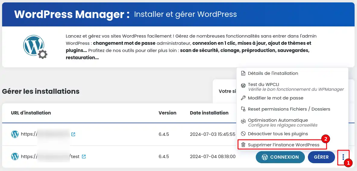 How do I delete my WordPress site using WP Manager?