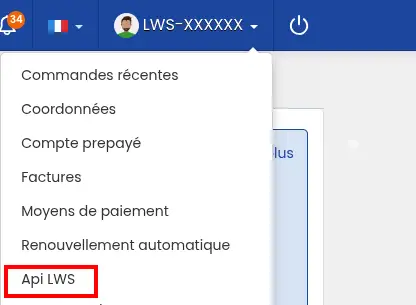 Comment utiliser et configurer l'API Client LWS ?