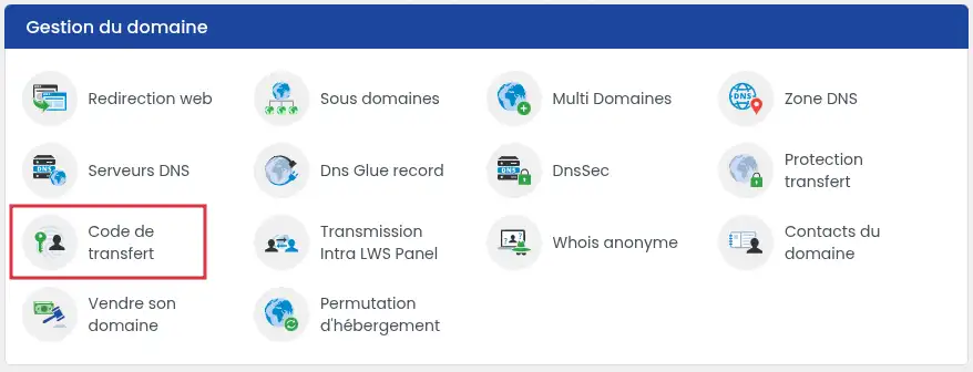 How can I retrieve the transfer code (Auth / EPP code) for an LWS domain?