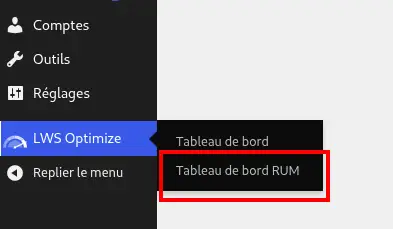 G&eacute;rer les performances de son site WordPress gr&acirc;ce au RUM de LWSOptimize
