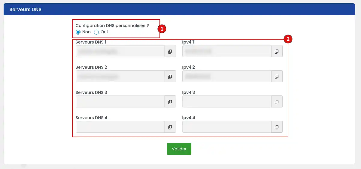 Comment changer les serveurs DNS d'un domaine LWS 