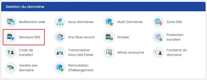 Comment changer les serveurs DNS d'un domaine LWS 