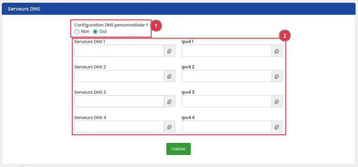 Comment changer les serveurs DNS d'un domaine LWS 