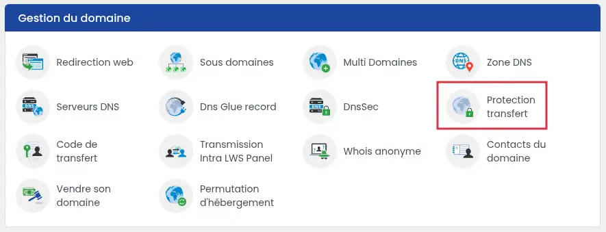 How can I protect my domain from being transferred?